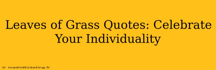Leaves of Grass Quotes: Celebrate Your Individuality