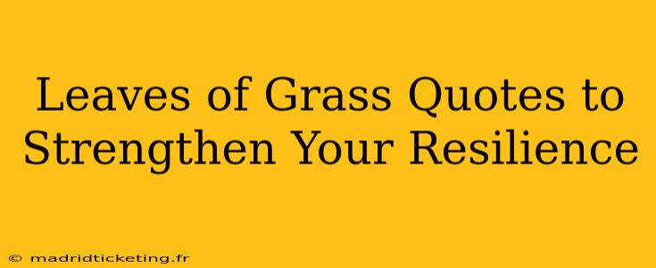 Leaves of Grass Quotes to Strengthen Your Resilience