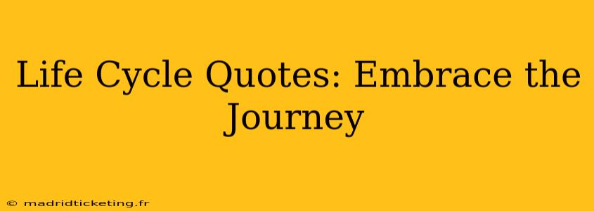 Life Cycle Quotes: Embrace the Journey