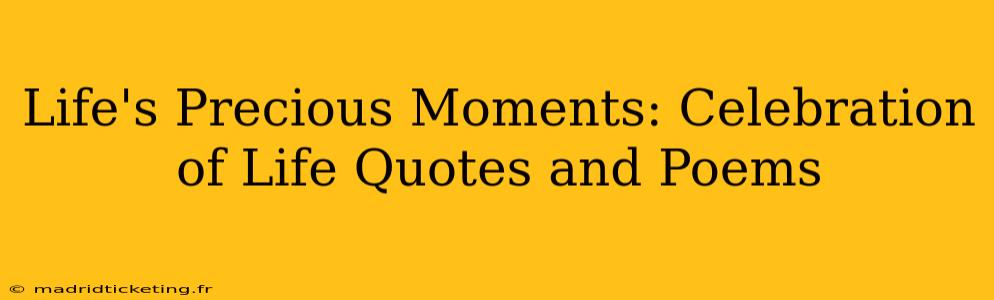 Life's Precious Moments: Celebration of Life Quotes and Poems