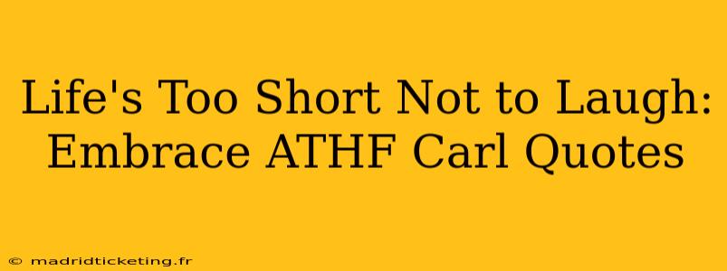 Life's Too Short Not to Laugh: Embrace ATHF Carl Quotes