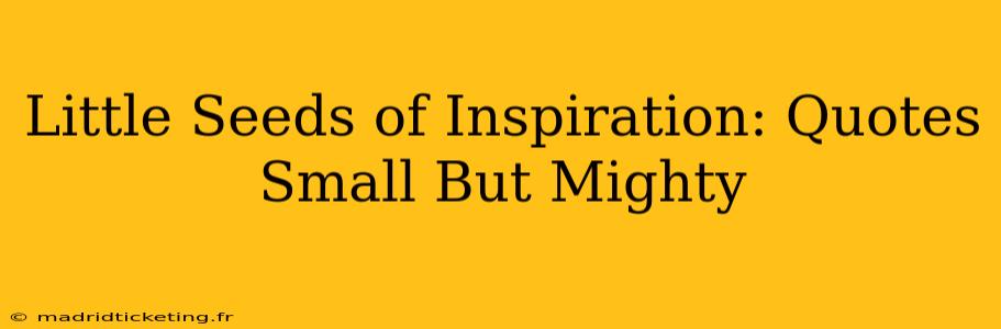 Little Seeds of Inspiration: Quotes Small But Mighty
