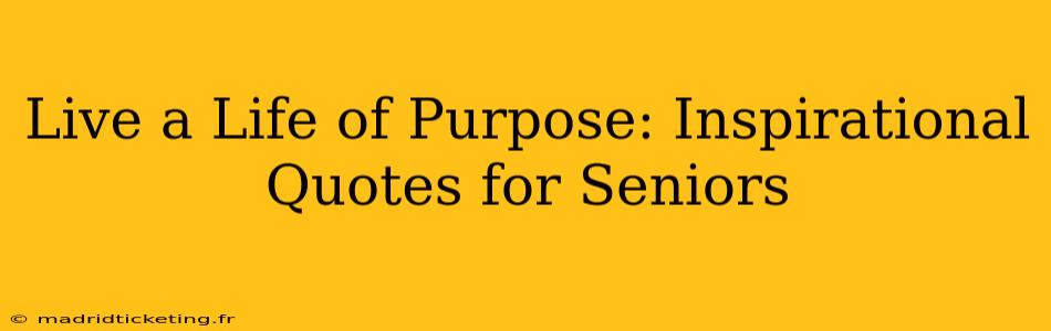 Live a Life of Purpose: Inspirational Quotes for Seniors