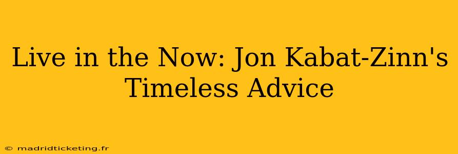 Live in the Now: Jon Kabat-Zinn's Timeless Advice