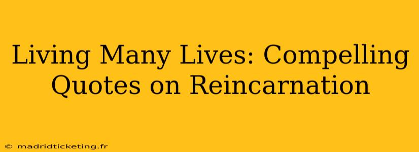 Living Many Lives: Compelling Quotes on Reincarnation
