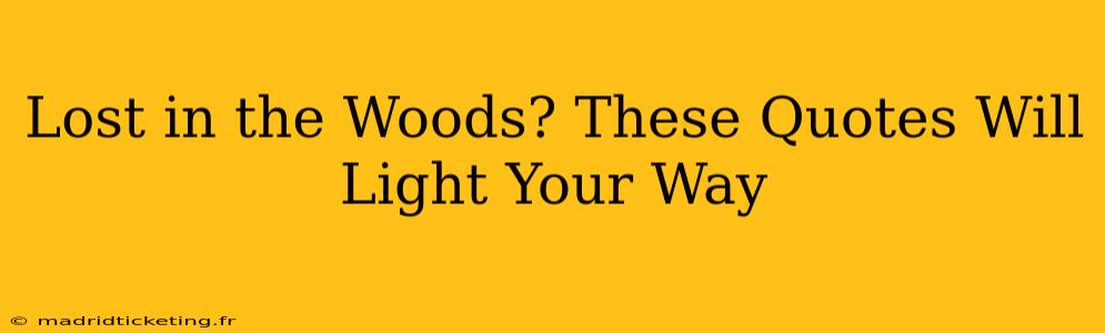 Lost in the Woods? These Quotes Will Light Your Way