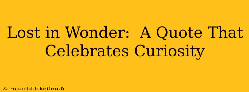 Lost in Wonder:  A Quote That Celebrates Curiosity