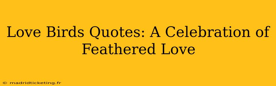 Love Birds Quotes: A Celebration of Feathered Love