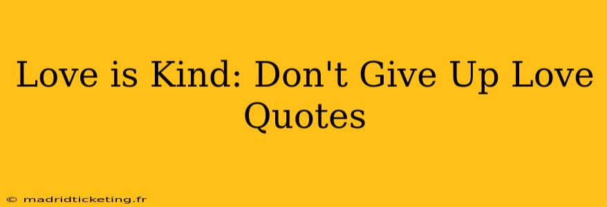 Love is Kind: Don't Give Up Love Quotes