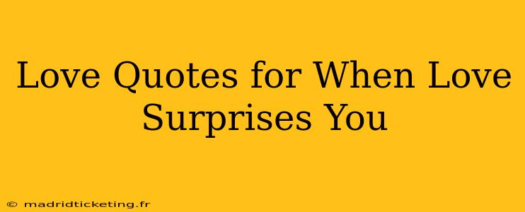 Love Quotes for When Love Surprises You