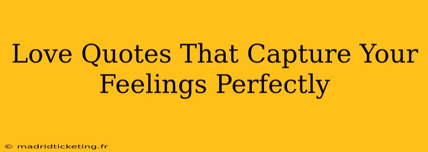 Love Quotes That Capture Your Feelings Perfectly