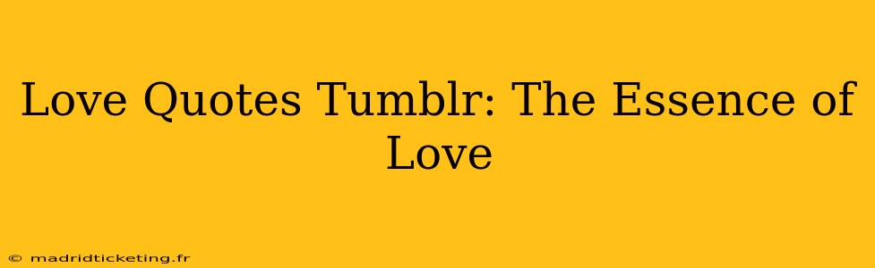 Love Quotes Tumblr: The Essence of Love