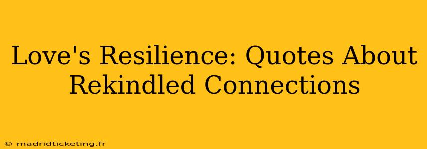 Love's Resilience: Quotes About Rekindled Connections