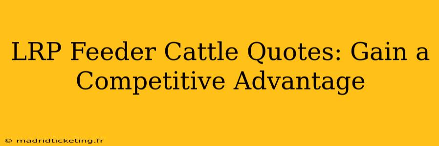 LRP Feeder Cattle Quotes: Gain a Competitive Advantage