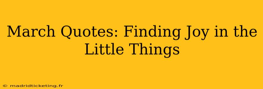 March Quotes: Finding Joy in the Little Things