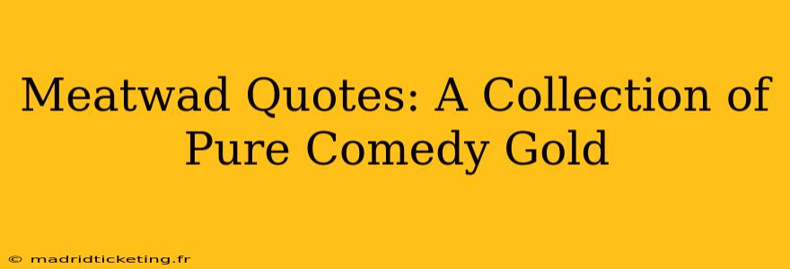 Meatwad Quotes: A Collection of Pure Comedy Gold