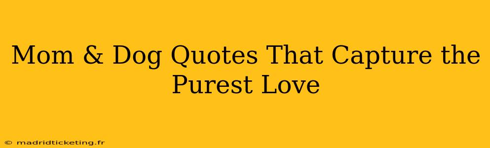 Mom & Dog Quotes That Capture the Purest Love