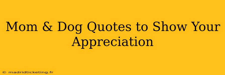 Mom & Dog Quotes to Show Your Appreciation