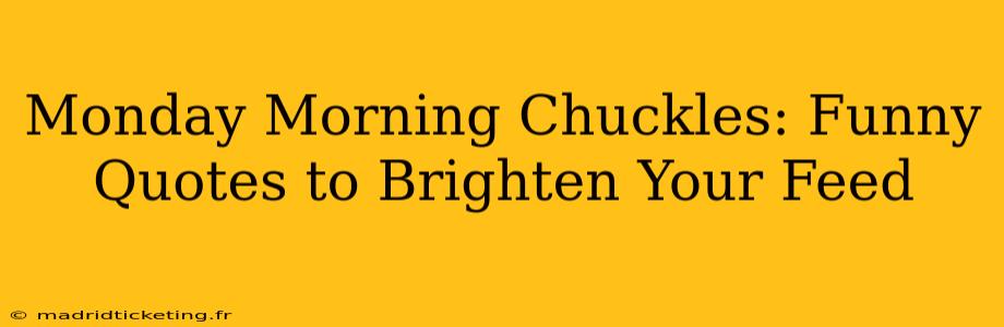 Monday Morning Chuckles: Funny Quotes to Brighten Your Feed