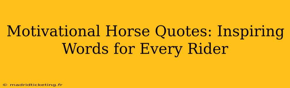 Motivational Horse Quotes: Inspiring Words for Every Rider