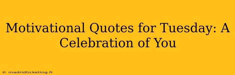 Motivational Quotes for Tuesday: A Celebration of You