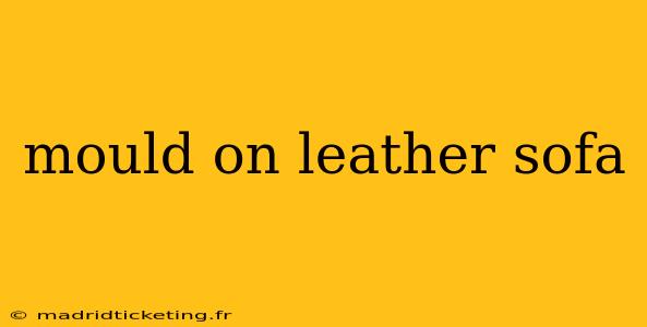 mould on leather sofa