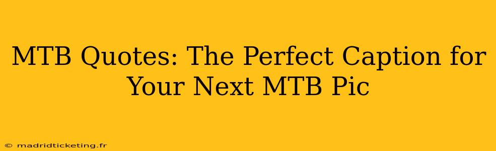MTB Quotes: The Perfect Caption for Your Next MTB Pic