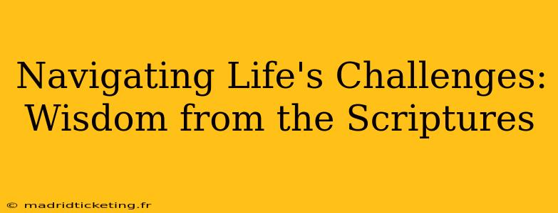 Navigating Life's Challenges: Wisdom from the Scriptures