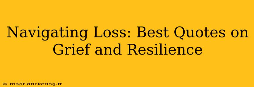 Navigating Loss: Best Quotes on Grief and Resilience