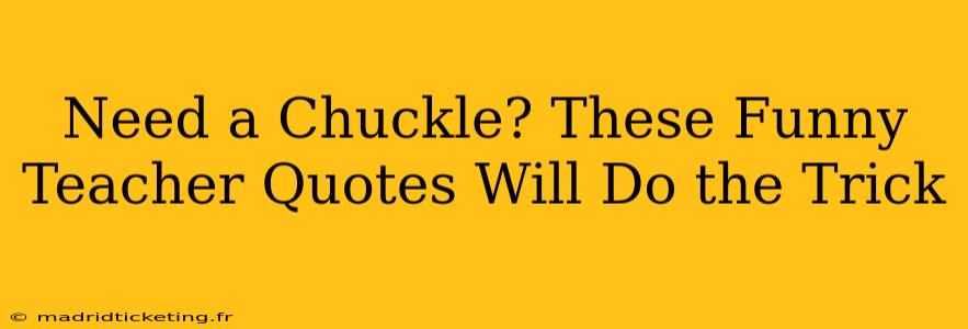 Need a Chuckle? These Funny Teacher Quotes Will Do the Trick