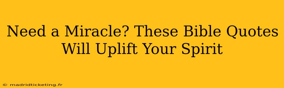 Need a Miracle? These Bible Quotes Will Uplift Your Spirit
