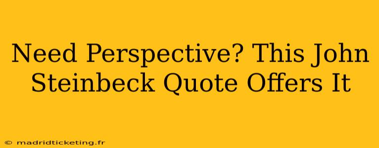 Need Perspective? This John Steinbeck Quote Offers It