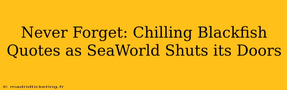 Never Forget: Chilling Blackfish Quotes as SeaWorld Shuts its Doors