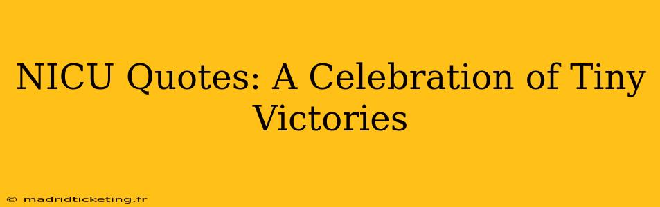 NICU Quotes: A Celebration of Tiny Victories