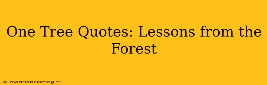 One Tree Quotes: Lessons from the Forest