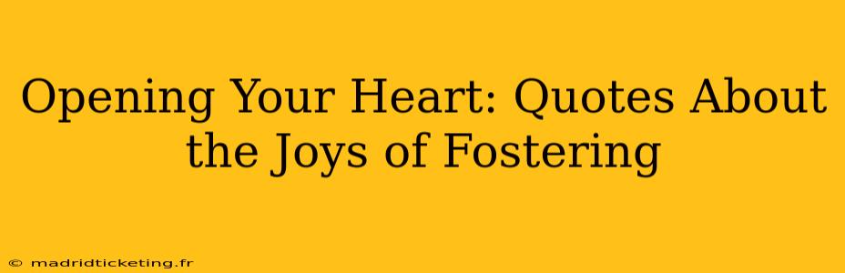 Opening Your Heart: Quotes About the Joys of Fostering