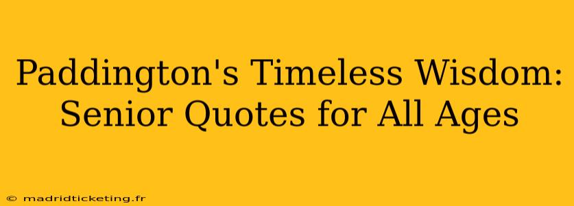 Paddington's Timeless Wisdom: Senior Quotes for All Ages