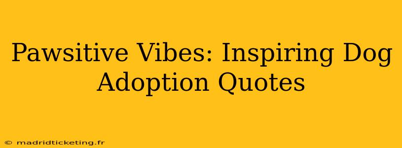 Pawsitive Vibes: Inspiring Dog Adoption Quotes