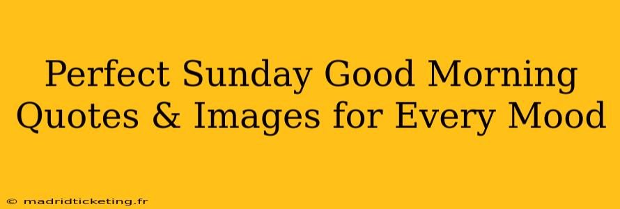 Perfect Sunday Good Morning Quotes & Images for Every Mood