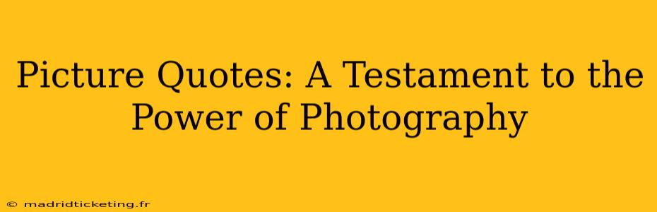 Picture Quotes: A Testament to the Power of Photography