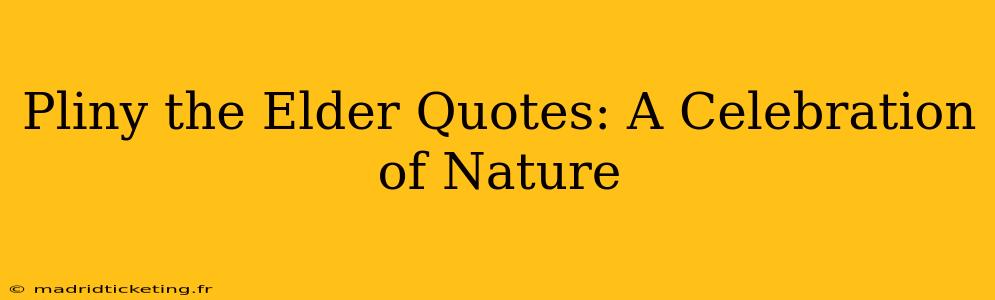 Pliny the Elder Quotes: A Celebration of Nature