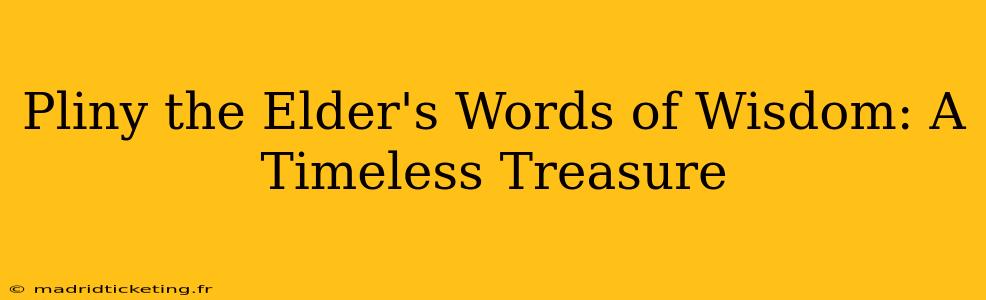 Pliny the Elder's Words of Wisdom: A Timeless Treasure