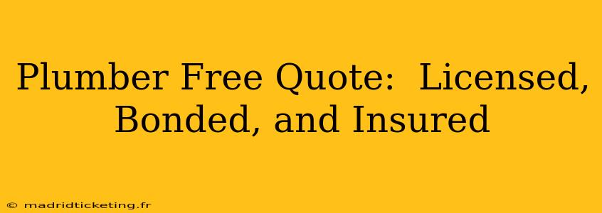 Plumber Free Quote:  Licensed, Bonded, and Insured