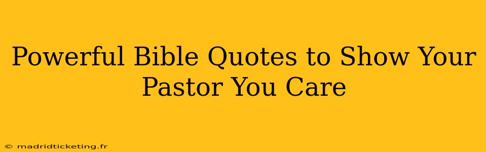 Powerful Bible Quotes to Show Your Pastor You Care