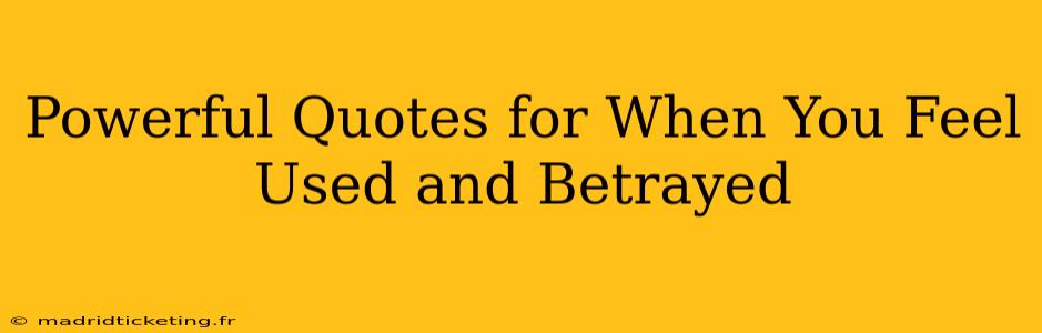Powerful Quotes for When You Feel Used and Betrayed