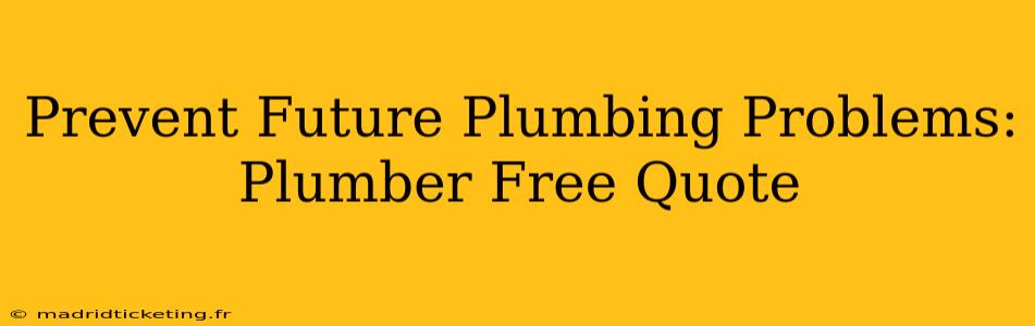 Prevent Future Plumbing Problems: Plumber Free Quote