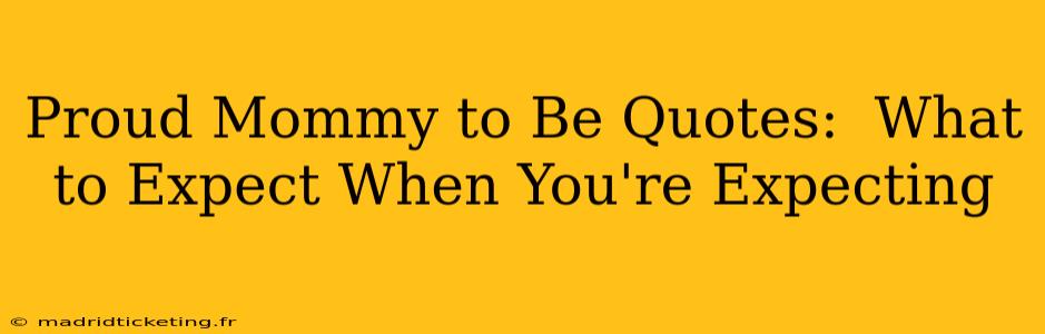 Proud Mommy to Be Quotes:  What to Expect When You're Expecting