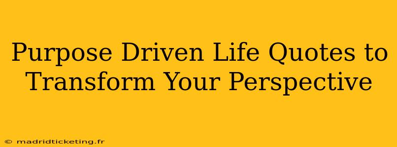 Purpose Driven Life Quotes to Transform Your Perspective