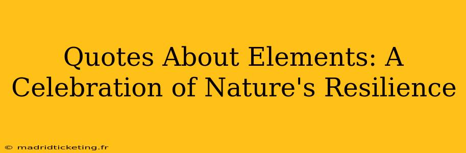 Quotes About Elements: A Celebration of Nature's Resilience