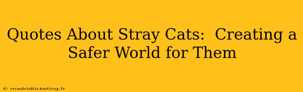 Quotes About Stray Cats:  Creating a Safer World for Them
